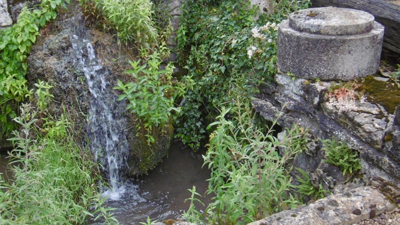 Viserny Gite Ancien Lavoir מראה חיצוני תמונה